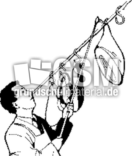 Fleischer.tif